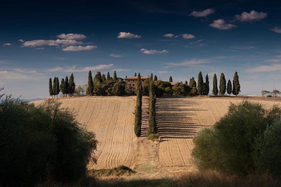 Inherited Property - Farm Land